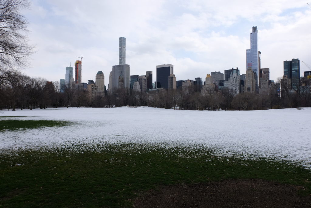 Snow in Central Park